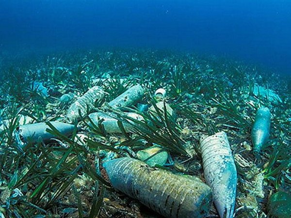 Загрязнение мирового океана химикатами