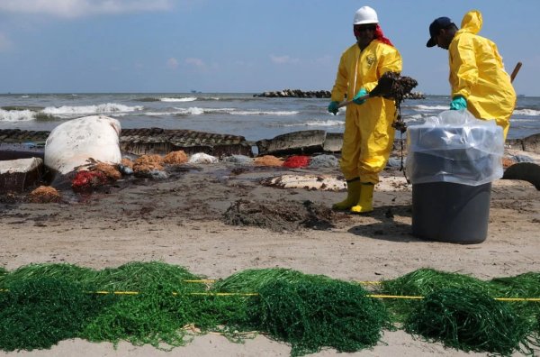 Загрязнение мирового океана