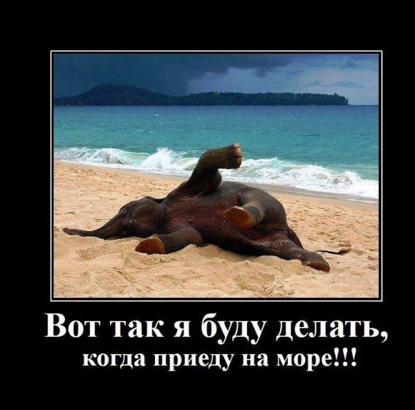 Толстый и худой