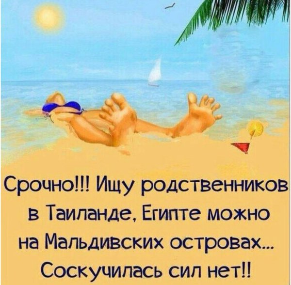 Три бабушки на море
