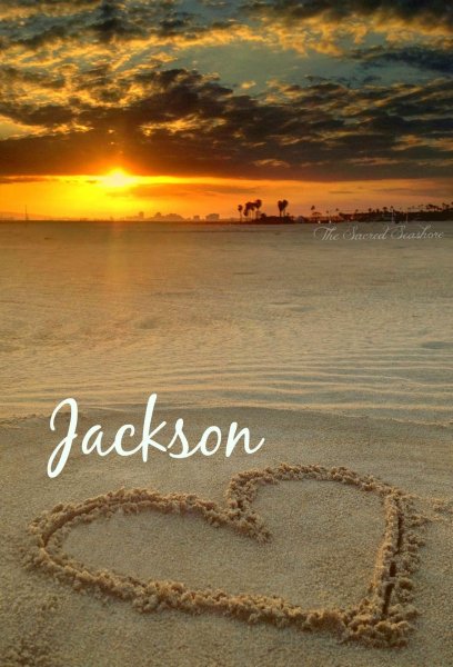 Море Чайки закат