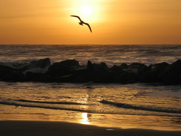 Желтый закат на море