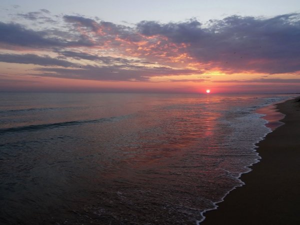 Лазаревское море волны