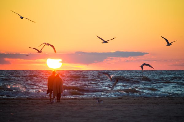 Солнце птицы и море