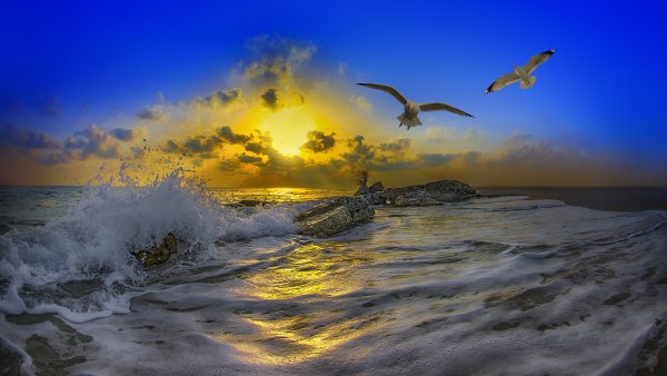 Море волны Чайки