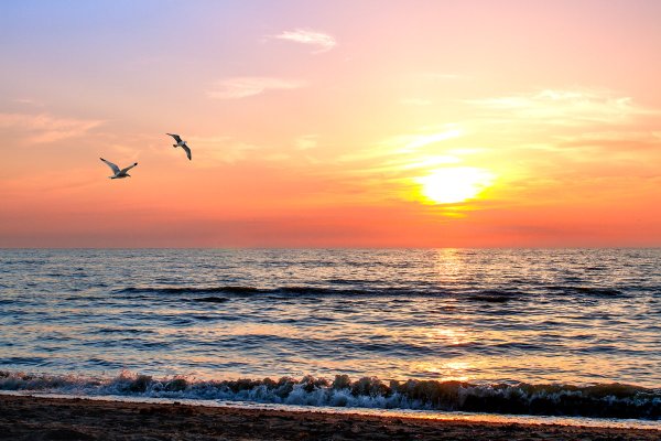 Море рассвет Чайки