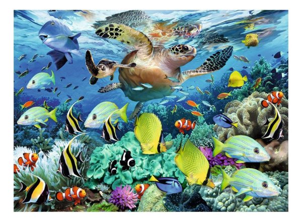 Водные животные для детей