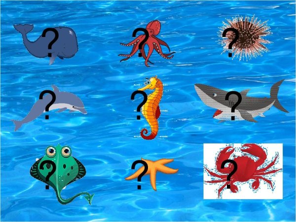 Водные обитатели для детей