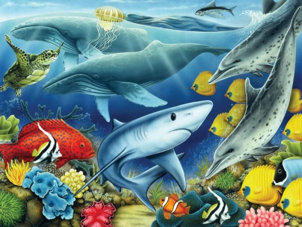 Иллюстрации морских животных