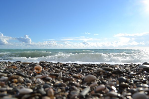 Черное море Сочи