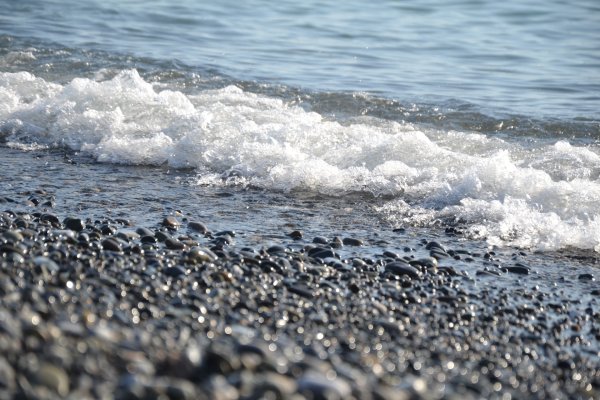 Морской Прибой Сочи