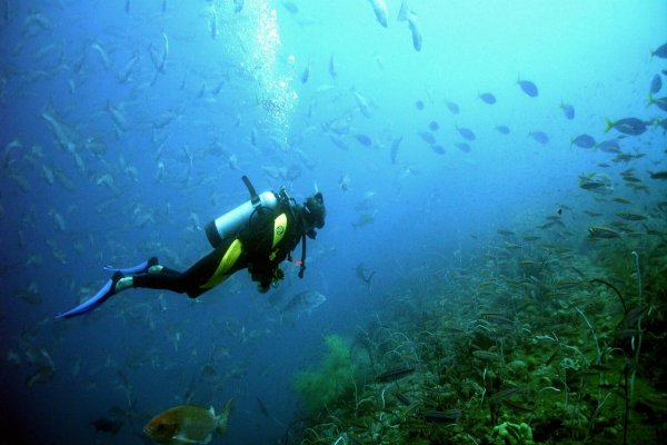 Подводный мир с водолазом