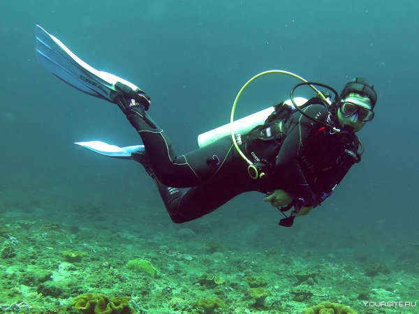Звягинцев водолаз