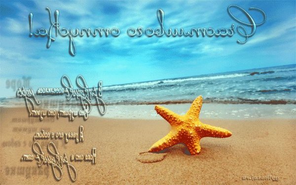 Цитаты про отдых на море