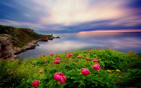 Божественная природа