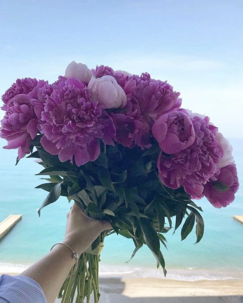 Пионы на фоне моря