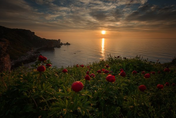 Летний вечер у моря