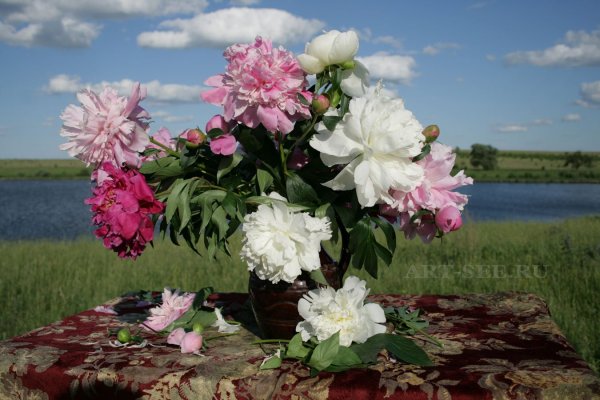 Куст цветов на фоне моря