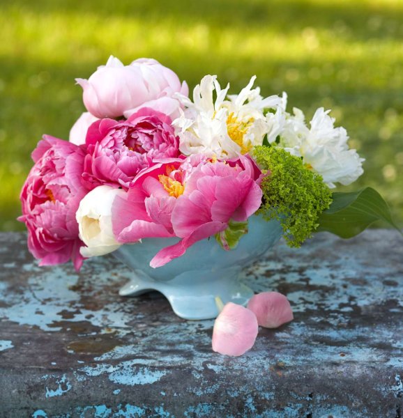 Море цветов