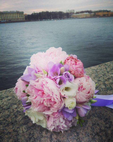 Плантация пионов