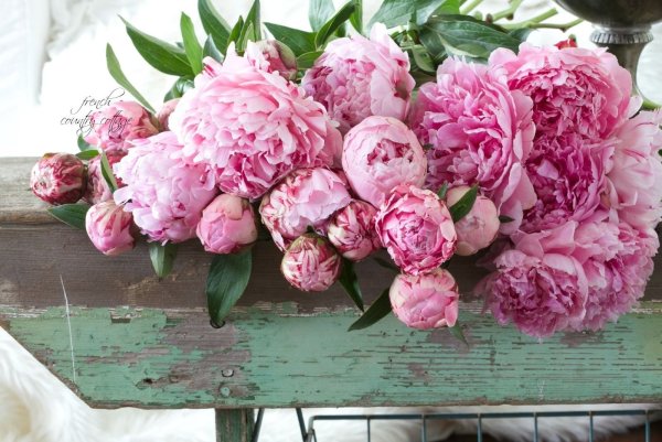 Пейзаж Эстетика