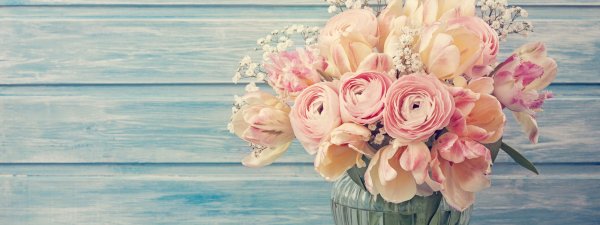 Мыс Фиолент маки