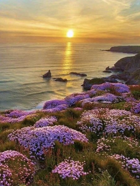 Красивые морские пейзажи