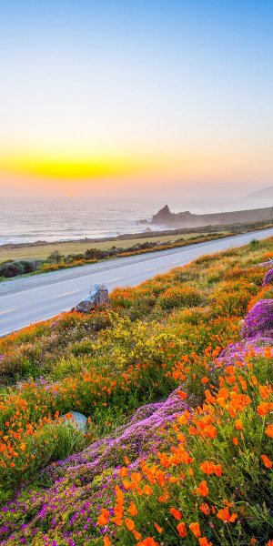 Калифорнийский пейзаж