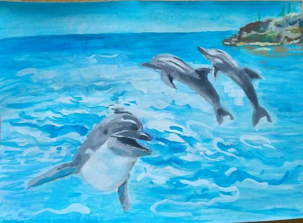 Дельфин Афалина Черноморская нарисовать