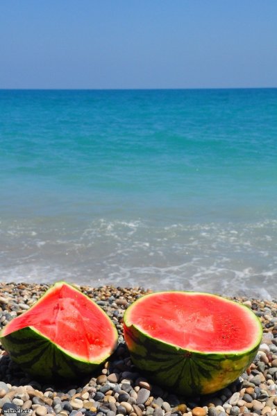 Абхазии дыни и арбузы