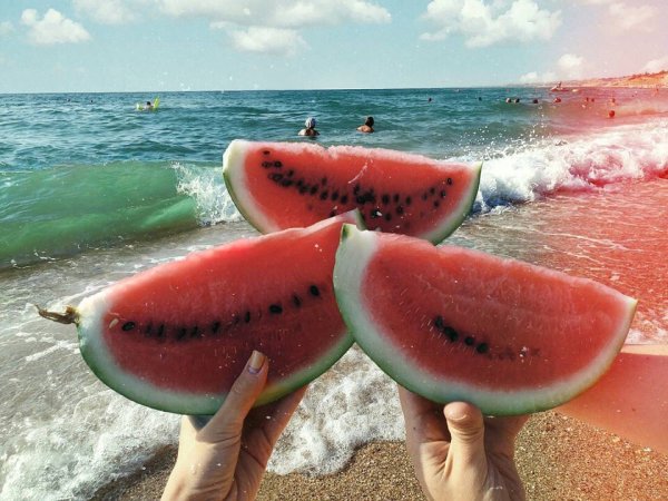 Лето море Арбуз