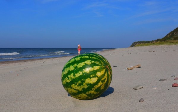 Лето море Арбуз