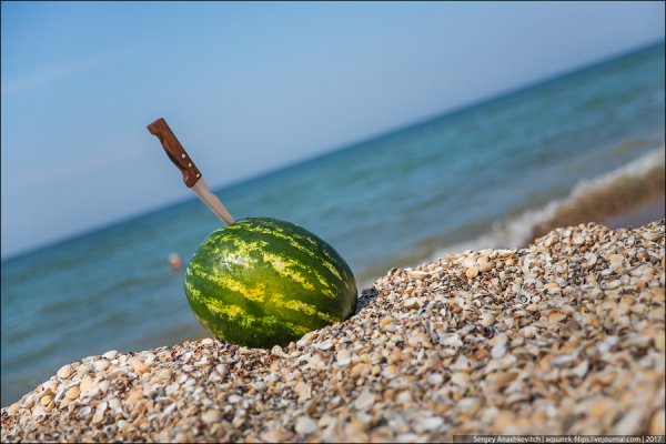 Лето море Арбуз