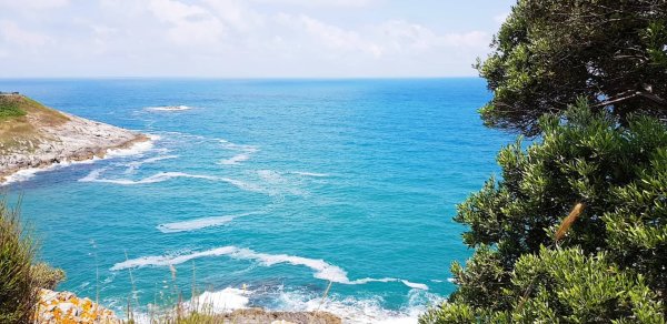 Море Туркей