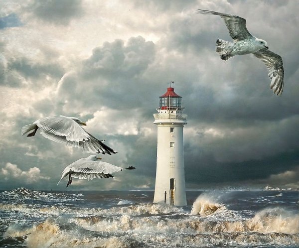 Корабли James Williamson