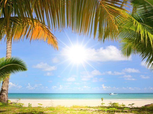 Море солнце