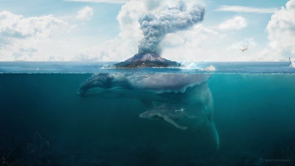 Под водой