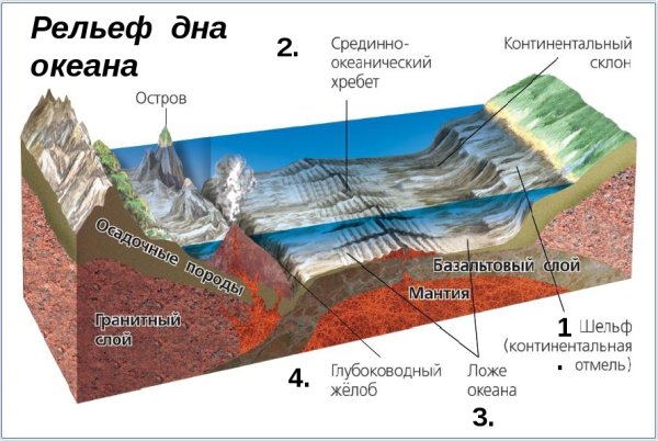 Наполовину в воде
