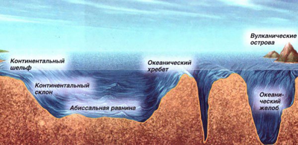 Фреска Affresco морские обитатели