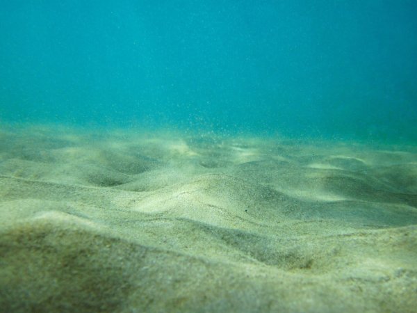 Рельеф дна черного моря