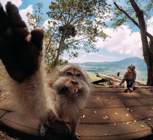 Позитивчик для поднятия настроения картинки прикольные