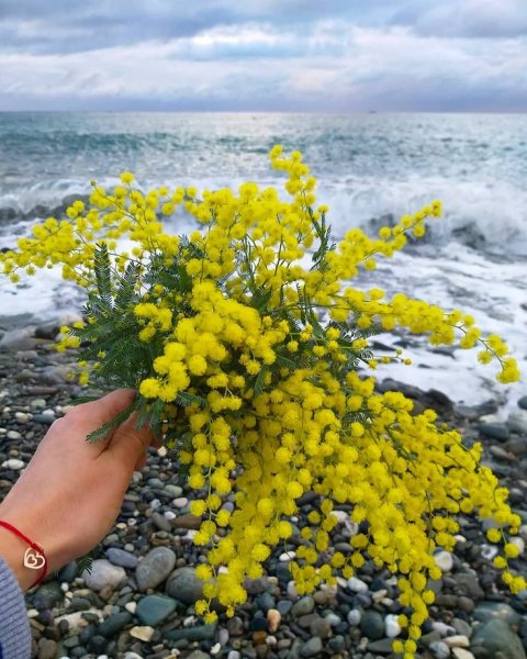 8 Марта море