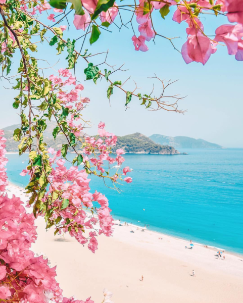 Корейский художник Kang Jung ho