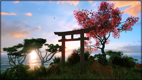 Красивый сад Сакуры