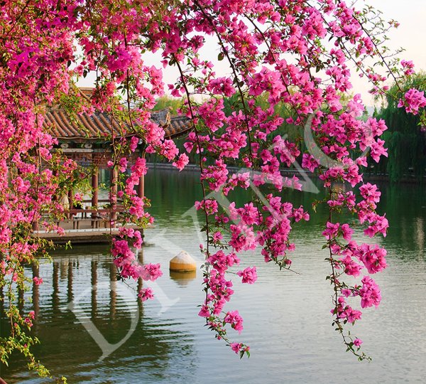 Природа Японии