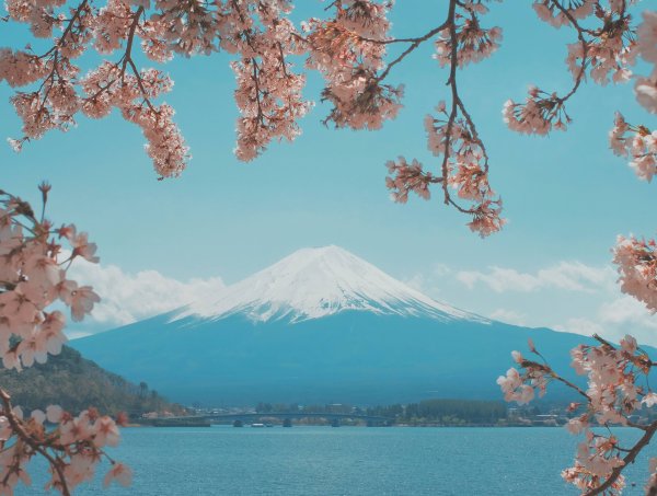 Япония Фудзияма Сакура храм