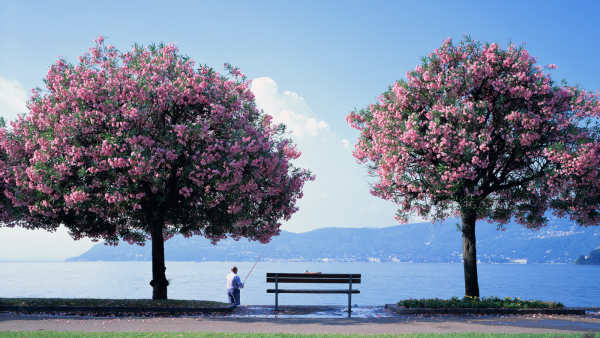 Пазл Токио Фудзияма