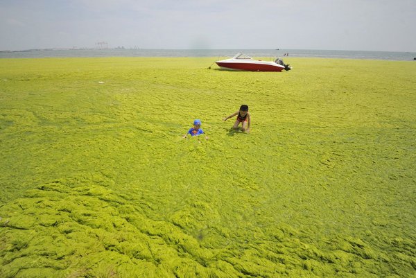 Желтое море Китай