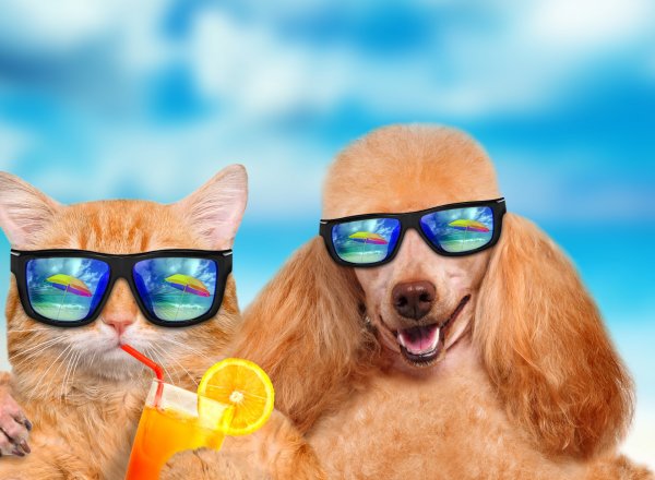 Девушка прыгает в воду