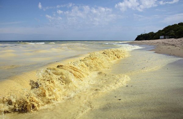Желтое море Китай